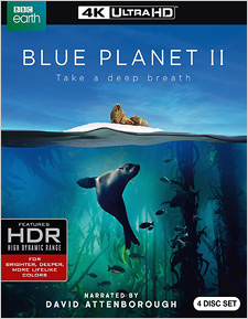 Blue Planet II (4K Ultra HD)