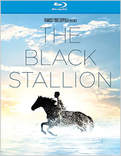 The Black Stallion (Blu-ray Disc)