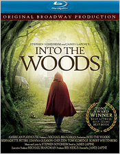 Into the Woods (Blu-ray Disc)
