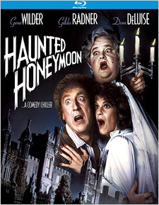 Haunted Honeymoon (Blu-ray Disc)
