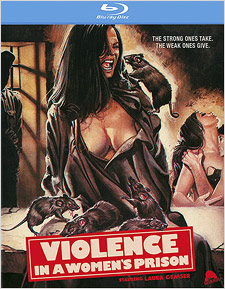 Violence in a Women's Prison (Blu-ray Disc)