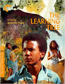 The Learning Tree (Blu-ray Disc)