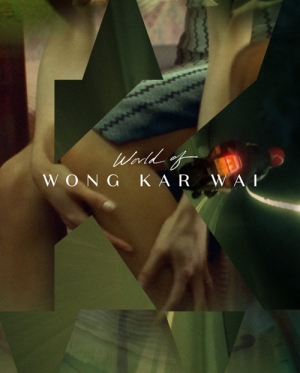 Criterion&#039;s World of Wong Kar-wai (Blu-ray Disc)