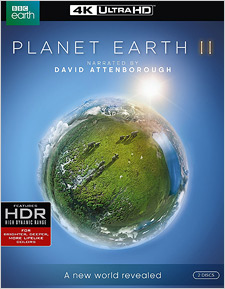 Planet Earth II (4K Ultra HD Blu-ray)