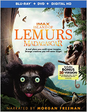 Lemurs of Madagascar (Blu-ray Disc)