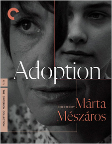 Adoption (Criterion Blu-ray Disc)