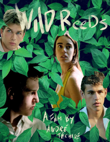 Wild Reeds (Blu-ray Review)